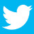 twitter da shinemodas